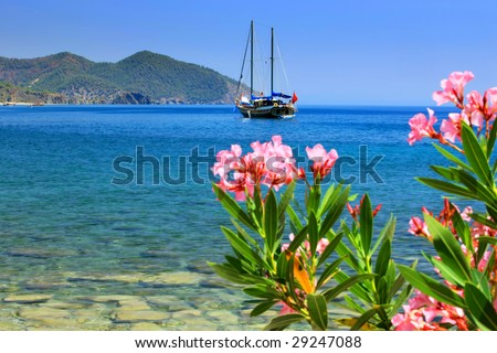 the beauty sea flower and yacht on the horison