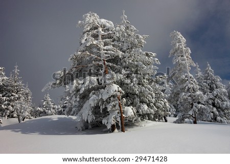 lovely winter scene in East Europe mountain