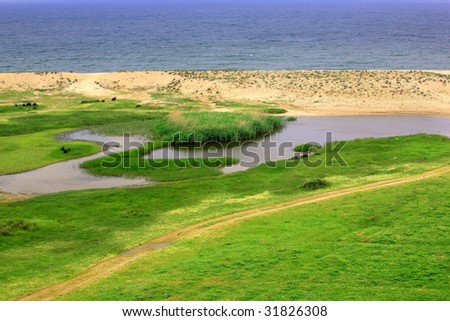 spring on the sea coast in East Europe