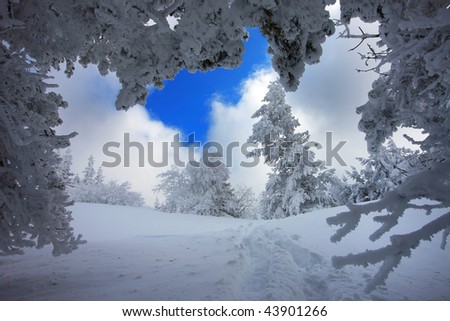 beautiful view in winter frame