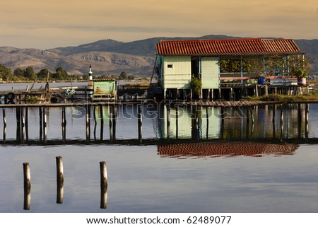 a beauty fish houses before sunrise