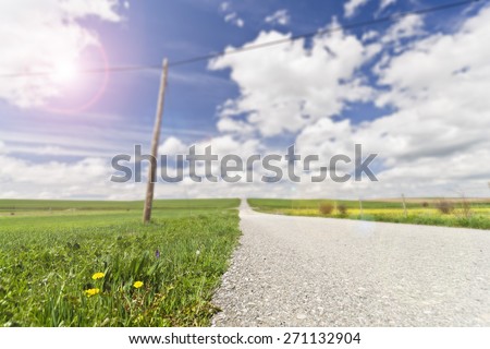 Idyllic summer field with dandelions and sun in blue sky, lens flare added