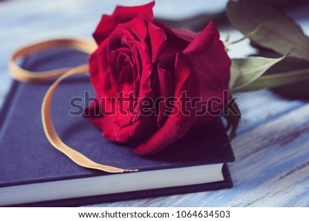 closeup of a catalan flag, a red rose, and a book for Sant Jordi, the Catalan name for Saint George Day, when it is tradition to give red roses and books in Catalonia, Spain