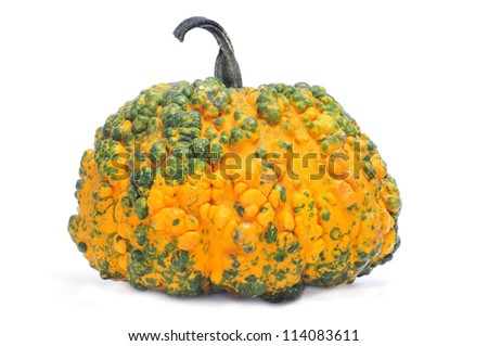 warty pumpkins