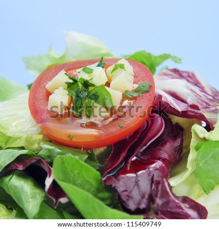closeup of a plate with garden salad with tomato and cheese