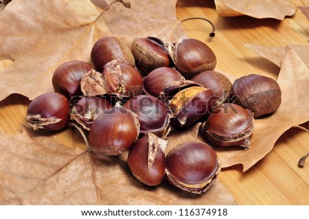 some roasted chestnuts, typical snack in All Saints Day in Spain, on a fall background with dried leaves