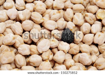 a black chickpea in a pile of dried chickpeas