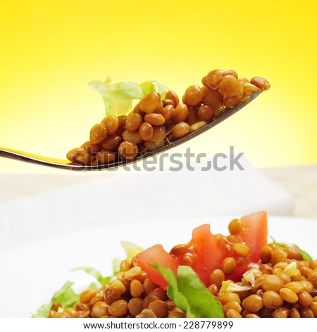 closeup of a plate with refreshing lentil salad