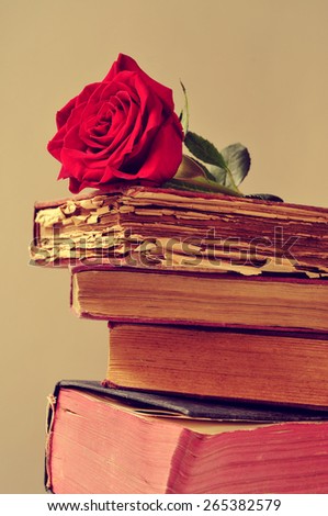 closeup of a red rose on a pile of old books