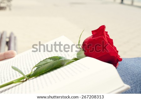 closeup of a young man with a red rose on an open book for Sant Jordi, the Saint Georges Day, when it is tradition to give red roses and books in Catalonia, Spain