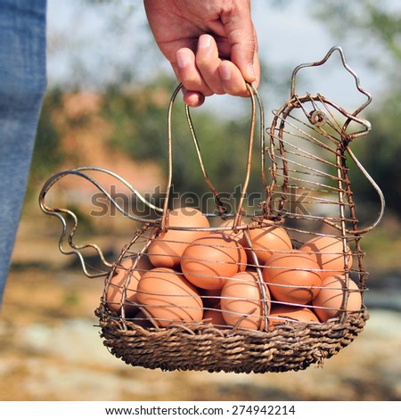 closeup of the hand of a young caucasian man carrying a hen-shaped rusty metallic basket full of brown eggs just collected from the henhouse