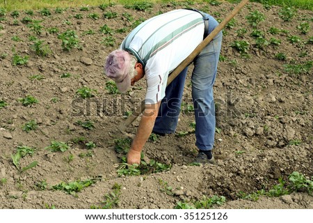 manual labor in agriculture