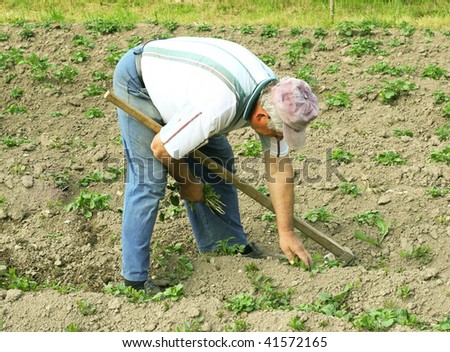manual labor in agriculture