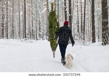A man carries a Christmas tree in the winter forest