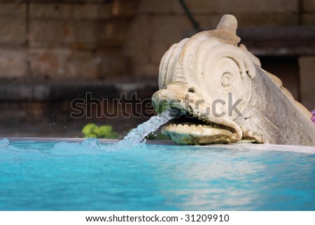 a water fountain in the shape of a dolphin carved out of limestone used as a fountain to fill a swimming pool, with shallow depth of field and focus on the stone statue
