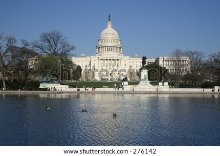 national capitol with reflection in the reflecting pool in front of it. ducks in water. washington, dc. postcard worthy shot!