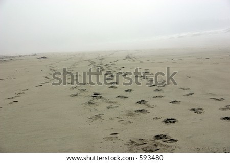 Footprints in the sand on a beach, fading away into mist. Vancouver Island, BC, Canada