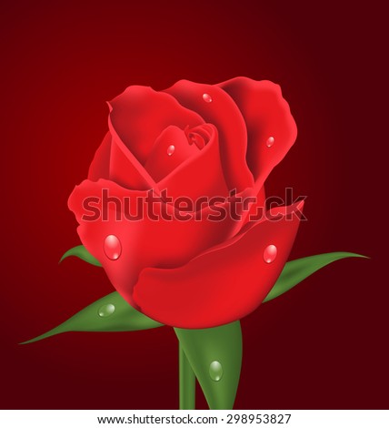 Illustration close-up beautiful realistic rose on red background - raster