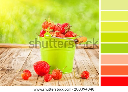 Colour palette with complimentary swatches. Summer strawberry still life