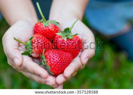 Fresh strawberries in hands like a heart, image for valentine, selective focus