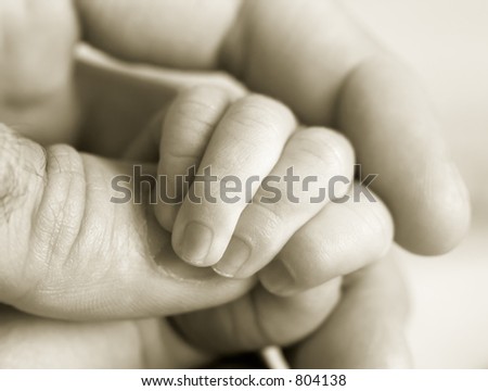 newly born babies. stock photo : new-orn baby