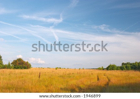 Nature backgound: blue sky, clouds and gold grass