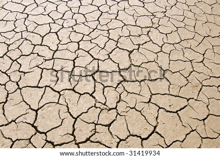 sun dried cracked earth of a dried river bed
