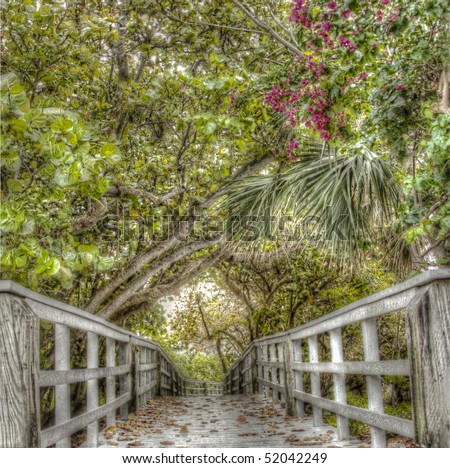 HDR image of an eerie wooden walkway under dense overgrown trees in autumn in a vertical panorama