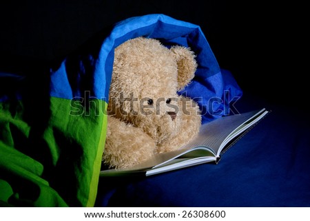 Teddy bear reads a book in bed under cover