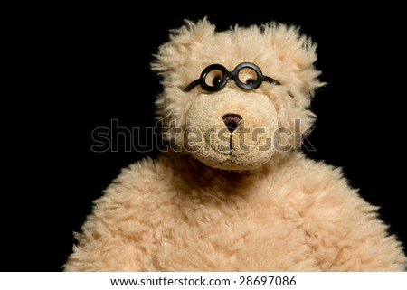 glasses bear
