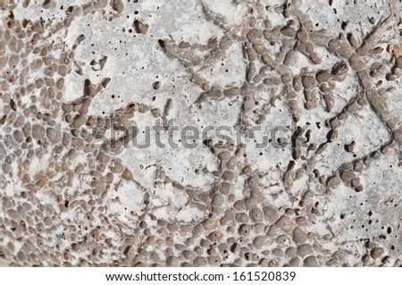 Natural background. Gray porous stone with freakish fossils.
