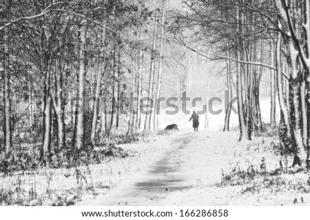 The lonely old woman walks with a dog in snow-covered park. Monochrome landscape removed by means of a monocle.