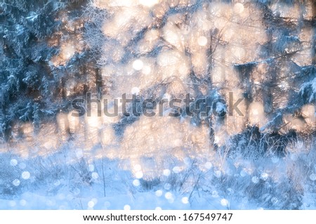 Sparkling natural background in gentle pastel tones. Winter forest removed by means of a monocle against the sun.