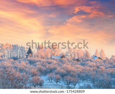 Rural lodges in a winter garden covered with hoarfrost at sunset.