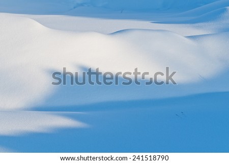 Smooth wavy forms of snowdrifts of snow and lonely blade in foreground.