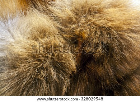 Red fox fur texture. Background and textures.