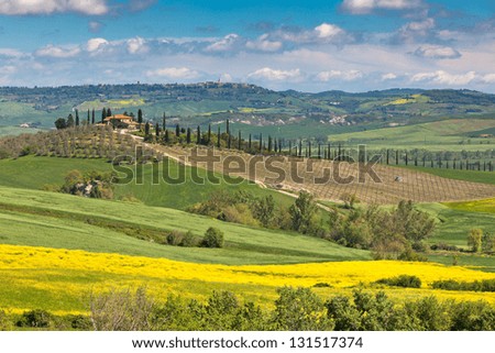 Outdoor Tuscan Val d\'Orcia green and yellow farmland fields view with blue sky.