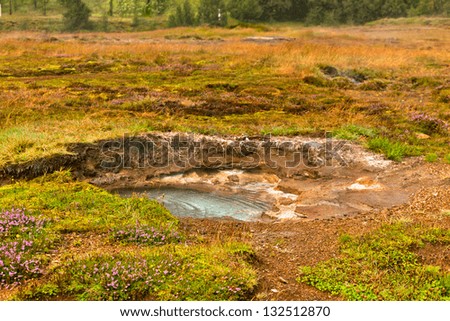 Blooming Moss and Small Geothermal Spring at Geysers Valley, Iceland
