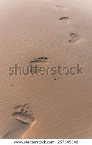 Human footprints on a beach sand. Vertical shot