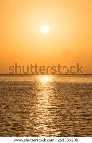 Beautiful tropical sunset ocean background. Vertical shot