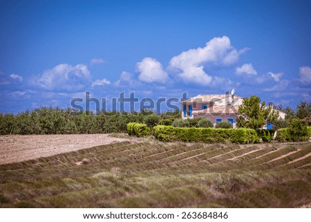 Rural house in a harvested lavender field, Valensole, Provence, France