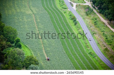 Green cultivated field, top view. Horizontal shot