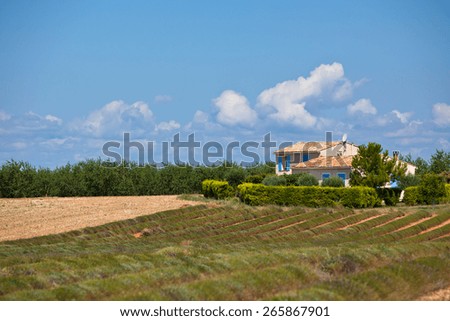 Rural house in a harvested lavender field, Valensole, Provence, France