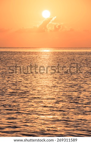 Beautiful tropical sunset ocean background. Vertical shot