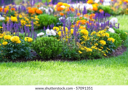 multicolored flowerbed on a lawn. horizontal shot. small GRIP