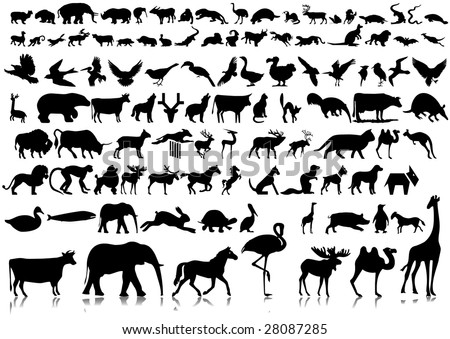 silhouettes of animals. of silhouettes of animals.