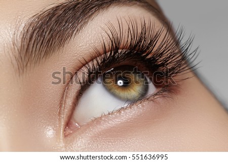 Beautiful macro shot of female eye with classic clean makeup. Perfect shape of eyebrows, brown eyeshadows and long eyelashes. Cosmetics and make-up. Closeup macro shot of fashion natural eyes visage