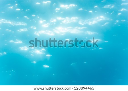Sun light underwater