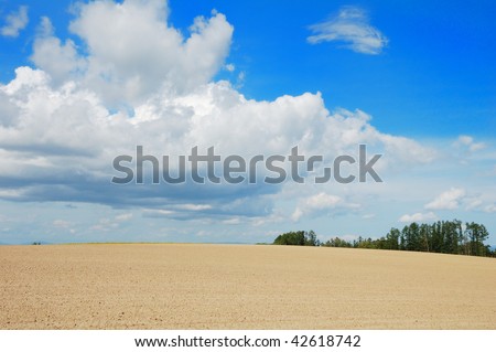 Summer landscape with cloudy sky and sand dune