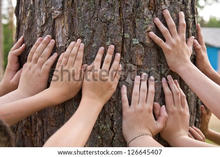 It is a lot of hands at a tree